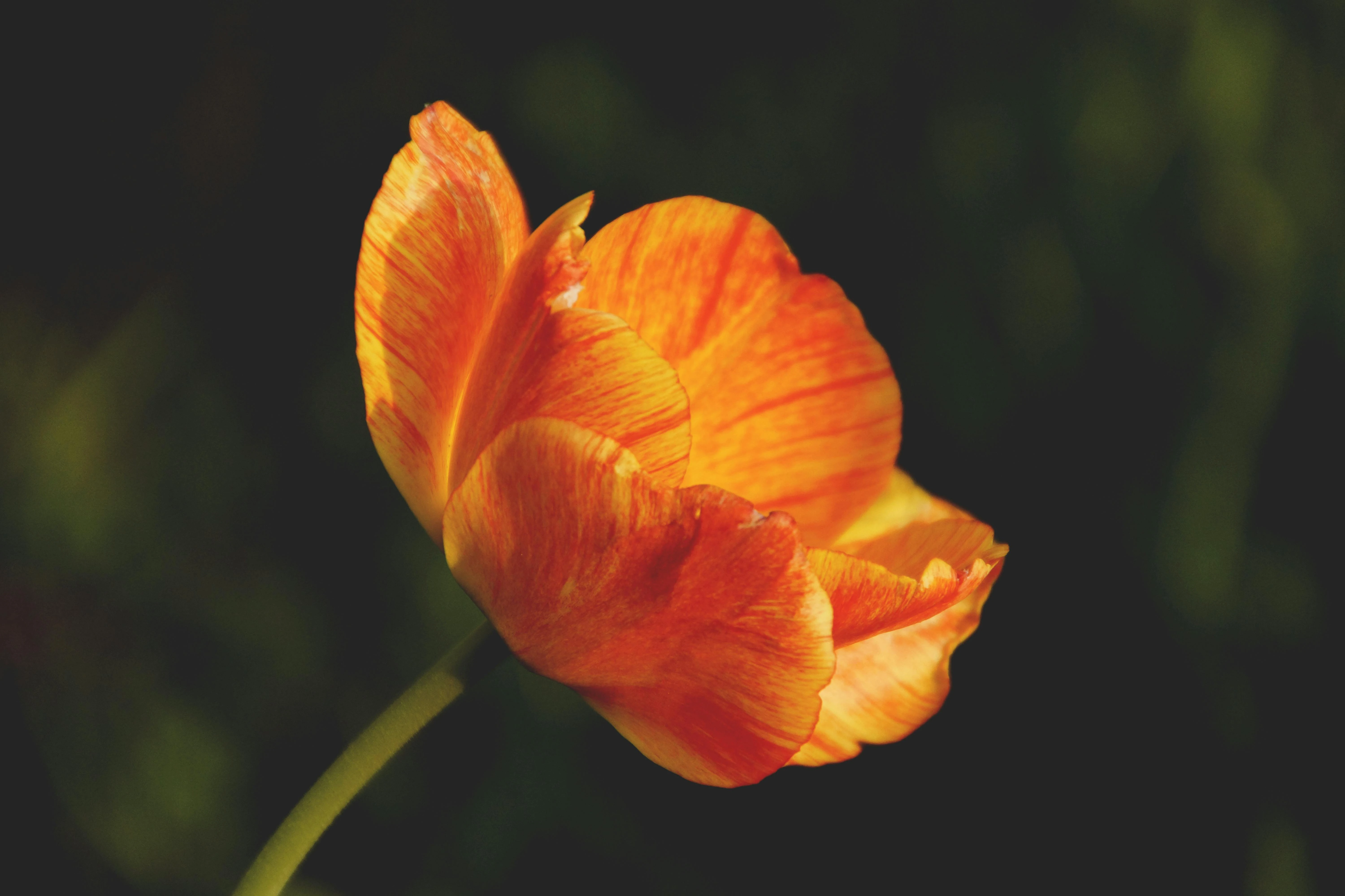 LAW ENFORCEMENT & SECURITY